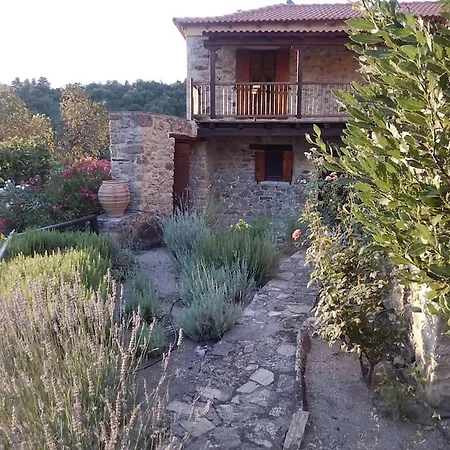 Apartment Mountain Retreat
